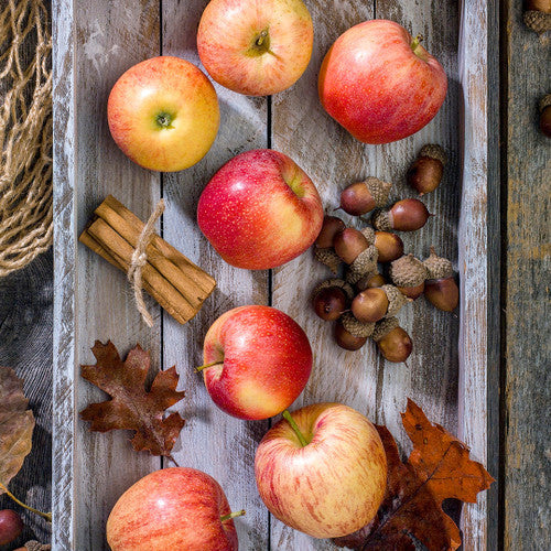 Apple Peel & Acorn Fragrance Oil