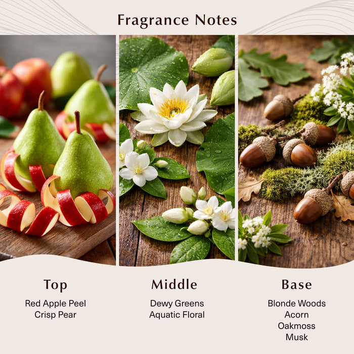Apple Peel & Acorn Fragrance Oil