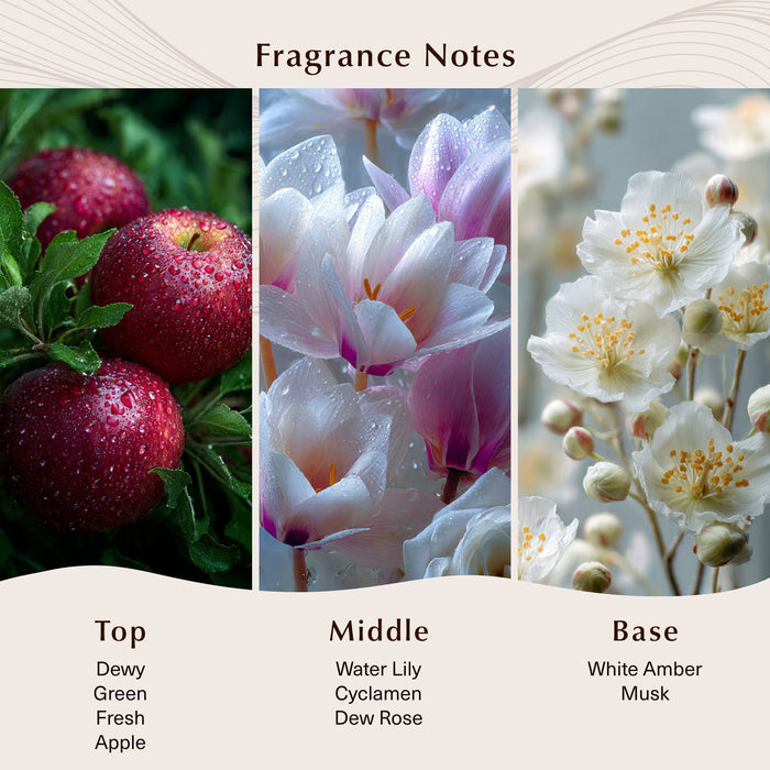 Beautiful Day (Type) Fragrance Oil