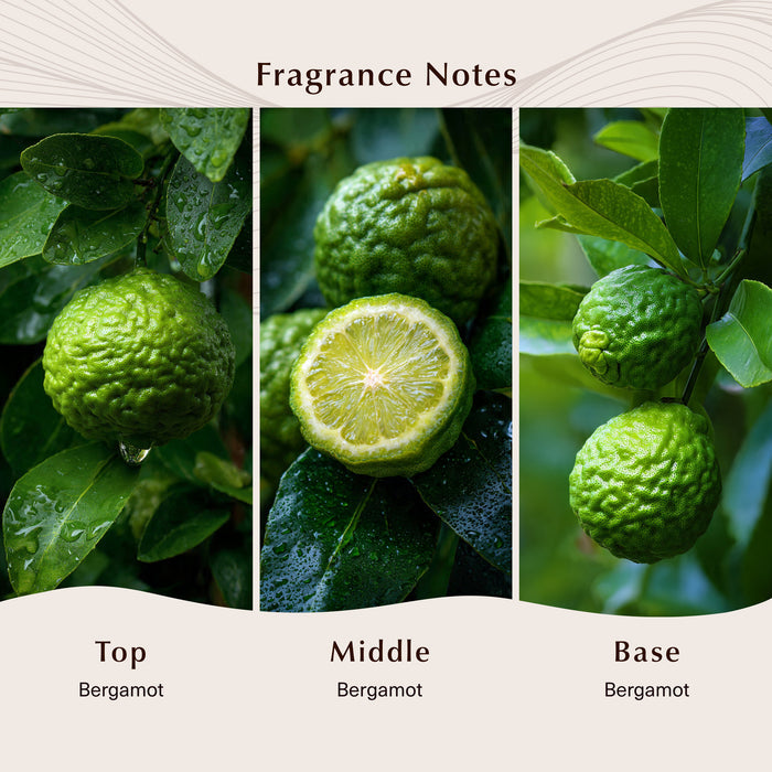 Bergamot Fragrance Note