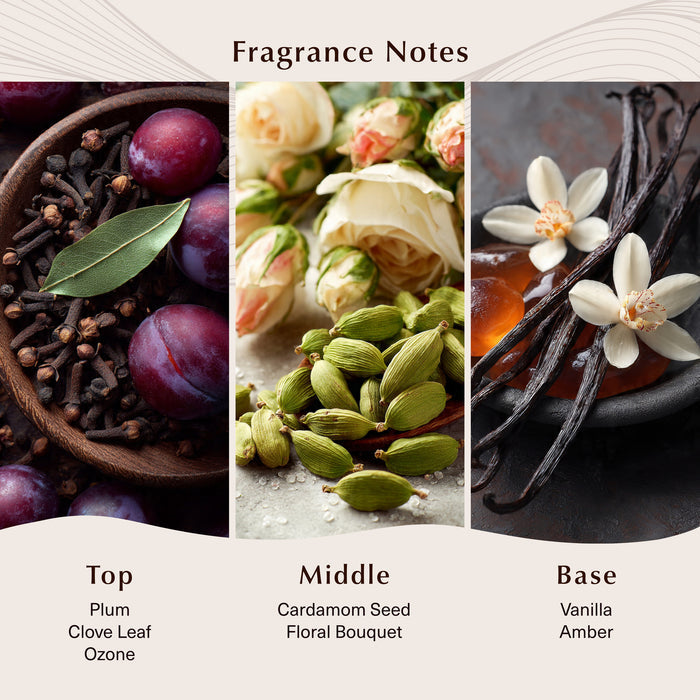 Black Sea Fragrance Oil