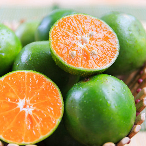 Calamansi Calypso Fragrance Oil