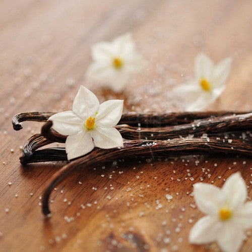 French Vanilla Fragrance Oil