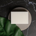 White bar of soap on a black marble surface with a green leaf