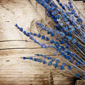 Lavender Sandalwood Fragrance Oil
