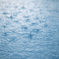 Rainwater Fragrance Note