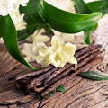Sandalwood Vanilla Fragrance Oil