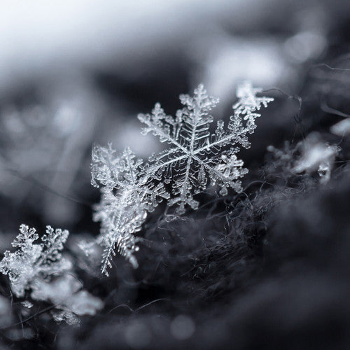 Shimmering Snowflake Fragrance Oil
