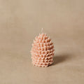 Silicone Pinecone Mold