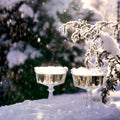 Sparkling Evergreen Fragrance Oil