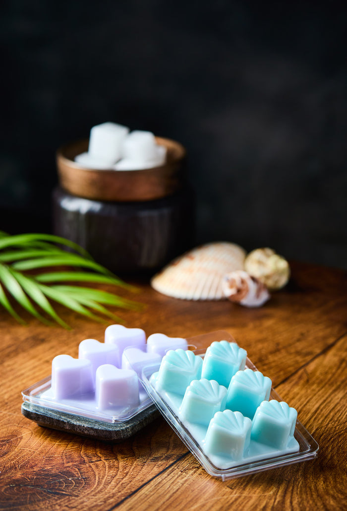 Wax Melt Clamshell Molds - Seashells