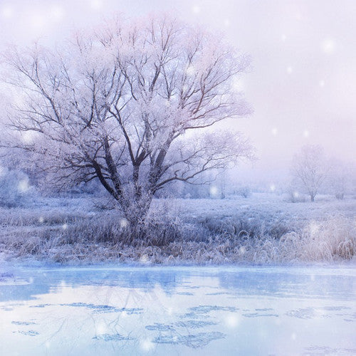 Winter Wonderland Fragrance Oil